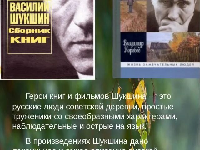 5 произведений шукшина. Название произведений Шукшина. Герои книг Шукшина. Шукшин темы произведений. Небольшие произведения Шукшина.