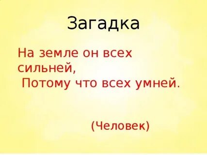 Отгадка человек
