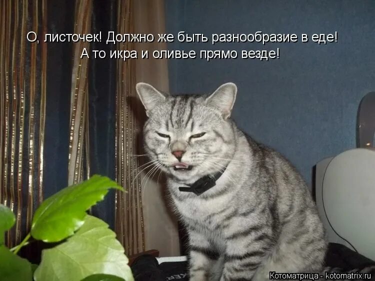 Должно быть разнообразие. Социализация молодежи. Рациональное питание. Здоровое питание классный час. Группа разные люди.