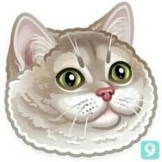 Webp 512