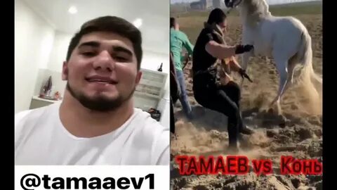 Жена асхаба тамаева