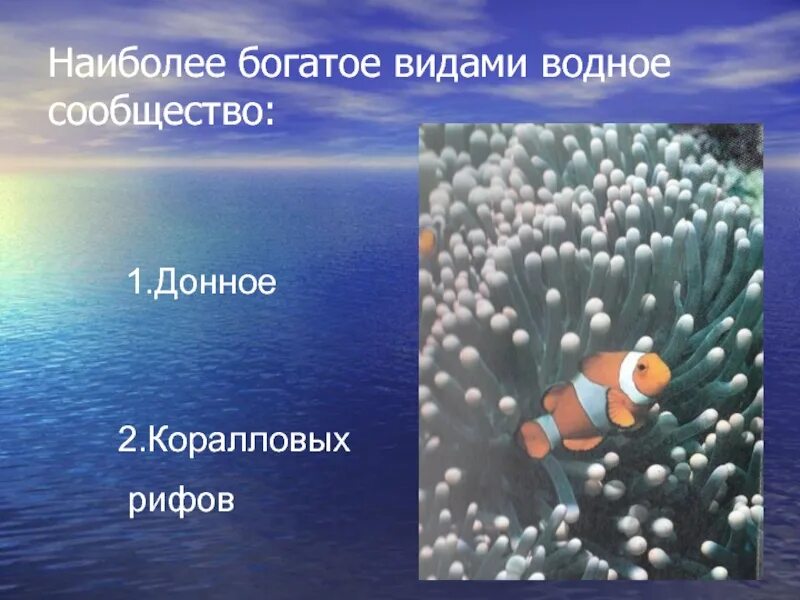 Сообщество океанов