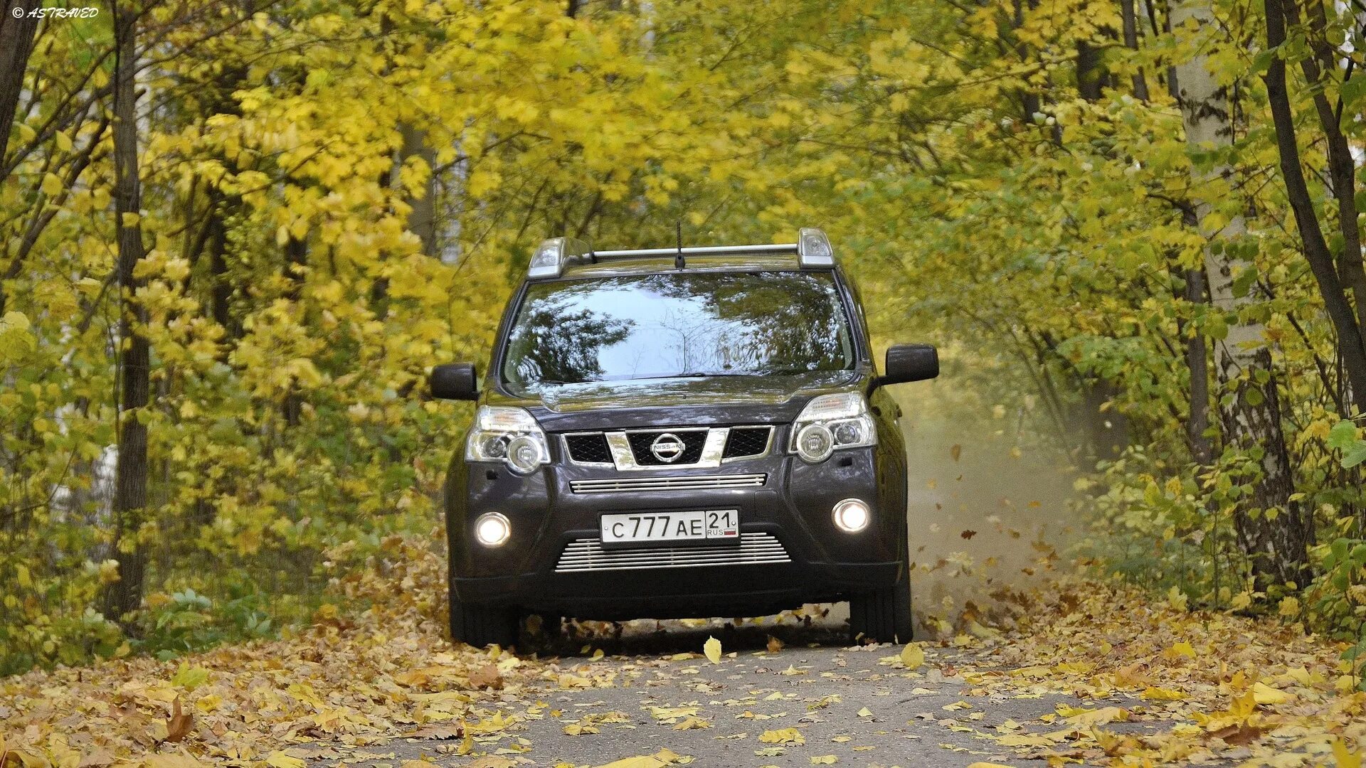 Ниссан х трейл т31 2.0. Nissan x-Trail. Nissan x Trail t35. Ниссан х-Трейл т31 в оранжевом. X Trail t31 и t30.