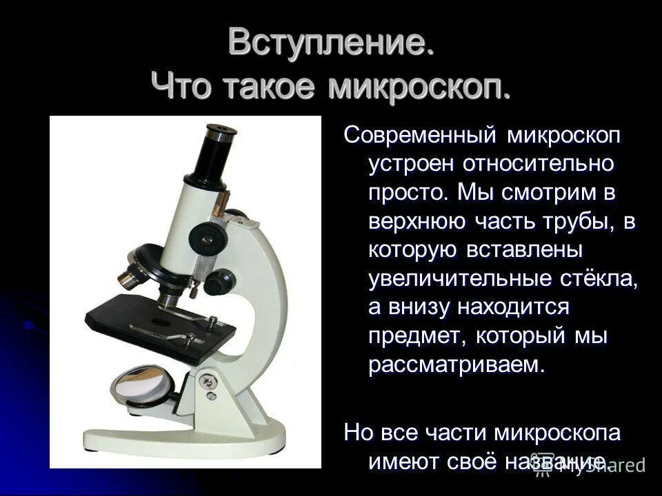 Три основные достоинства цифрового микроскопа. Три основные достоинства цифрового микроскопа