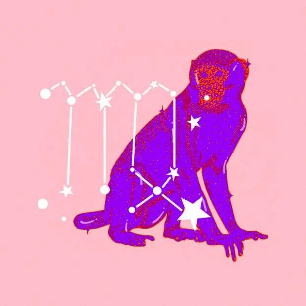 Обезьяна стрелец. Дева. Дева и обезьяна характеристика женщина. Гороскоп "рыбы". Поздравление девы по зодиаку с днем рождения.