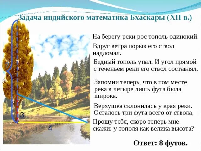 Как стройный тополь носился он на буланом. Одинокий тополь. тополь краткая характеристика. рассказ о тополе. рассказ про одинокий тополь.