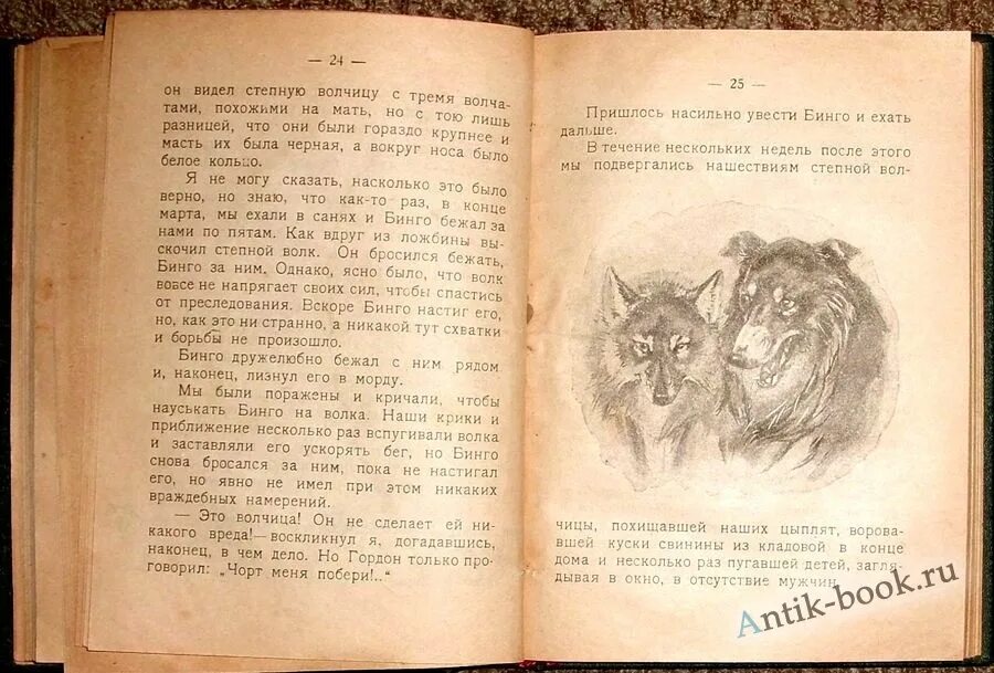 "лобо". Бинго веселые. Бинго козерог. Сетон-томпсон э. Бинго знаки зодиака скорпион.
