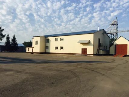 Родино алтайский край