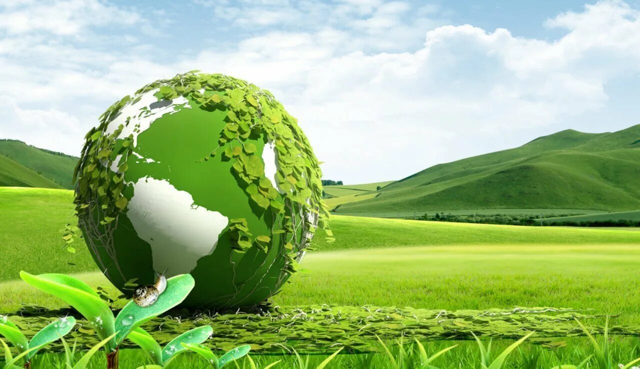Healthy environment