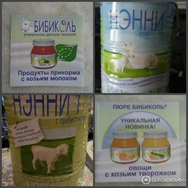 Со скольки можно давать козье молоко ребенку. Когда можно ребенку давать детское молоко. Козье молоко для грудных детей. Козье молоко для детей 1 года. Коровье молоко с какого возраста можно давать детям.