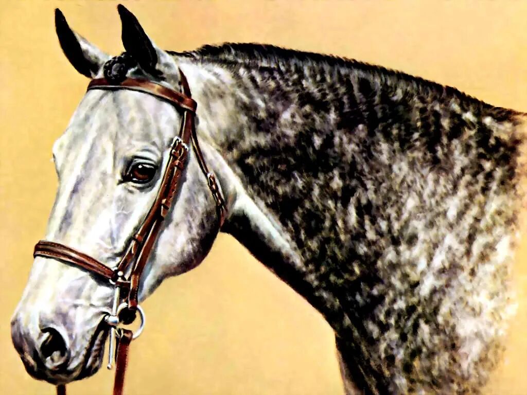 Картина лошади. Лошади в живописи. Экстерьер лошади живопись. 10 Лошадей.