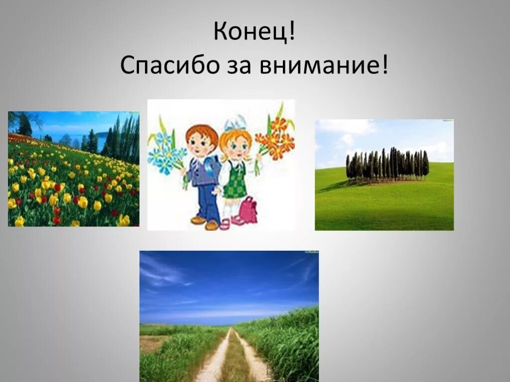 Кубановедение 3 класс ты и твое имя. Земля отцов моя земля. Земля отцов моя земля кубановедение проект. Проект моя земля. Проект по кубановедению моя земля.