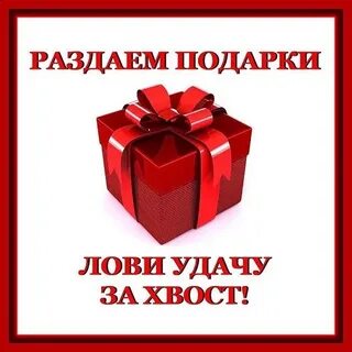 Розыгрыш