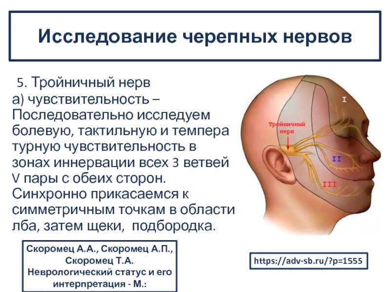 Исследование двигательной функции тройничного нерва. 5 Нерв тройничного нерва. Исследование функции лицевого и тройничного нервов. Тройничный нерв на лице.