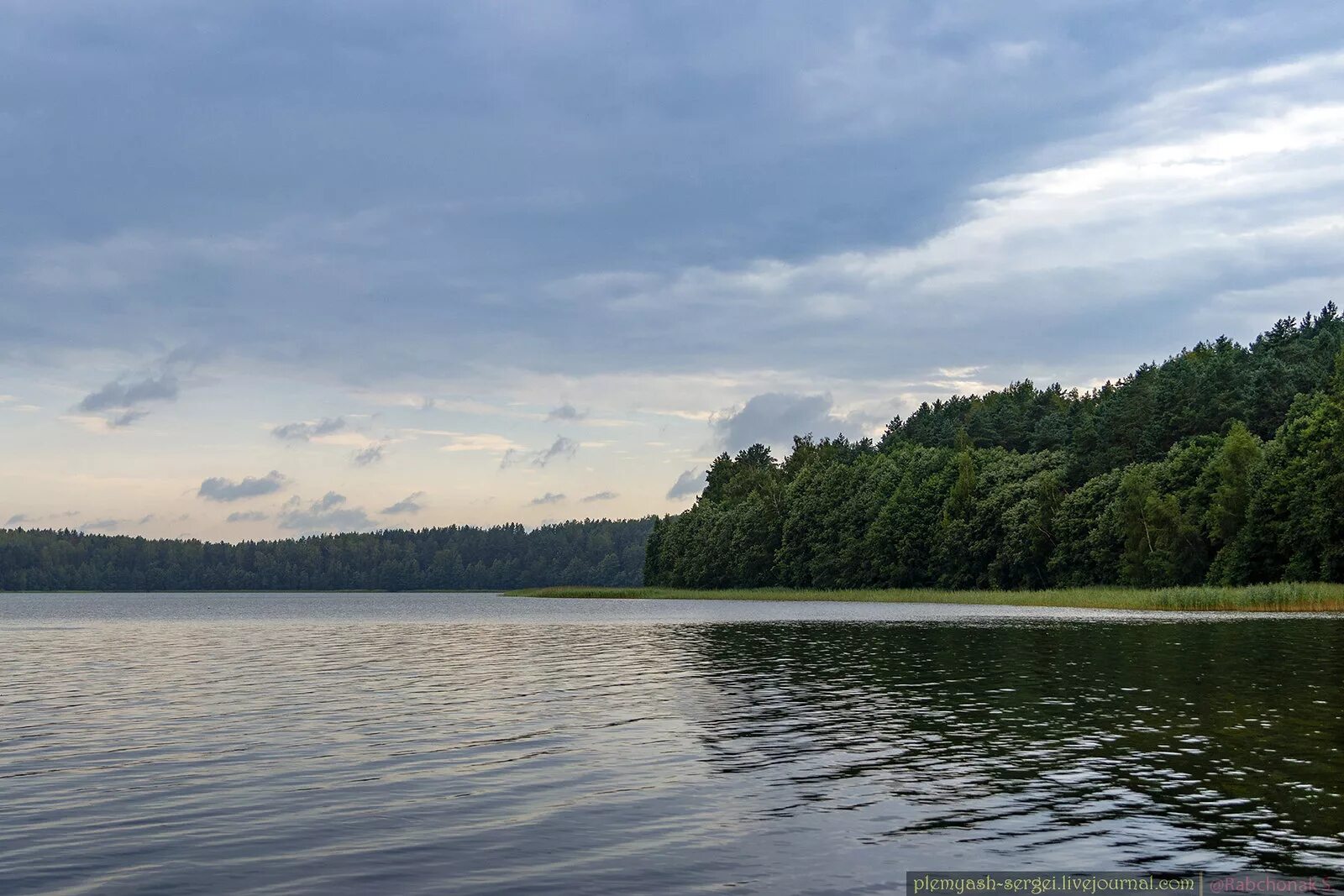Озерье озеро клепиковский район рязанская. Озеро туросы ушачского района. Озеро вечелье ушачи. Озеро кривое смоленск. Озеро в ушачском районе 8 букв.
