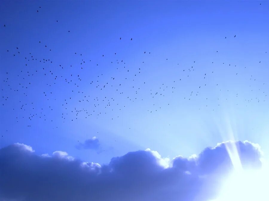Глубь небес. Глубина неба. Картинка глубины неба. Фото смена глубины неба. Небо глубина Мейер Борисович.