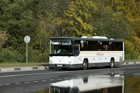 Расписание автобусов 360 на завтра