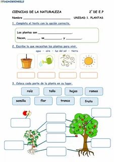 Science grade 1