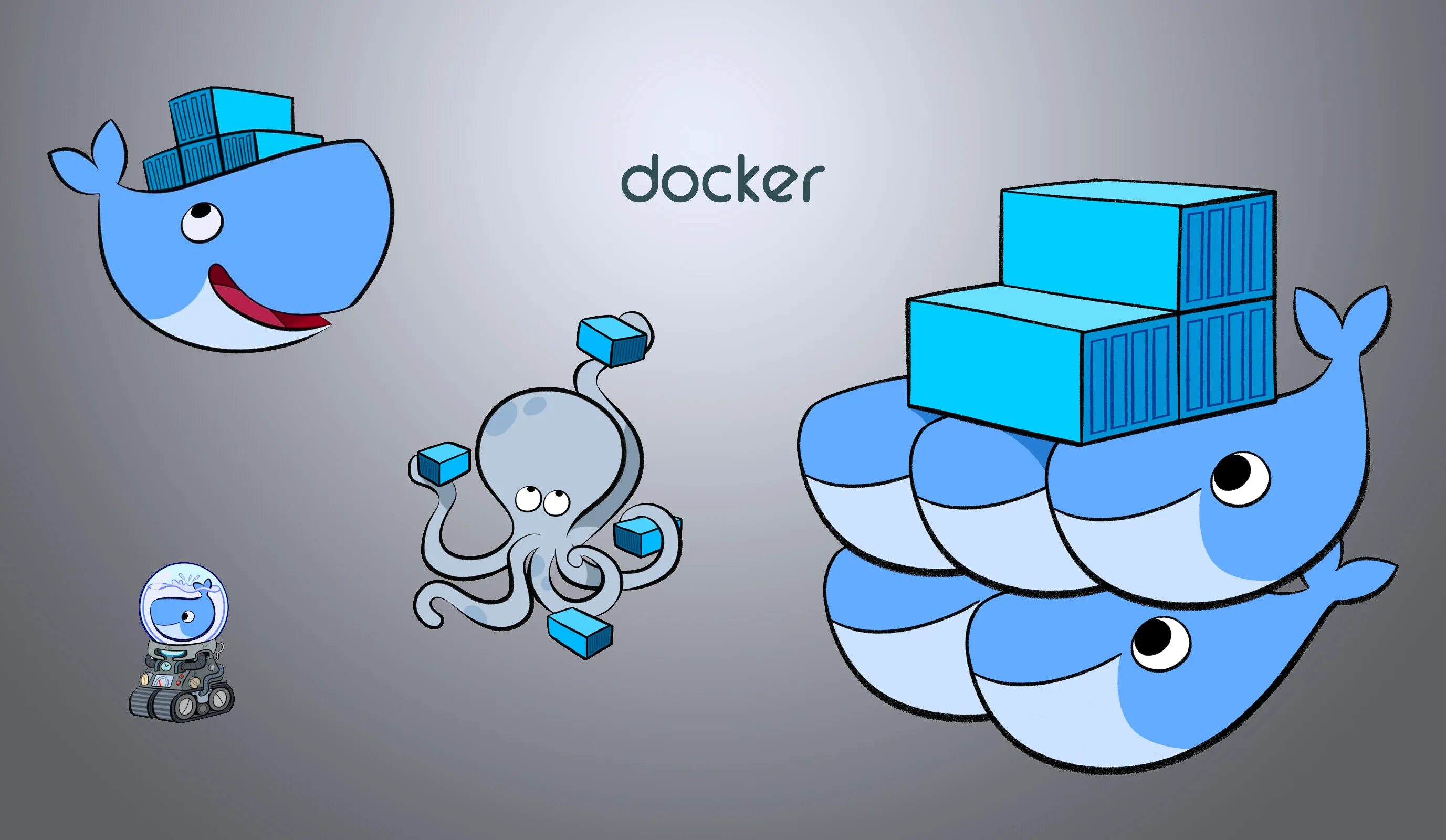 Docker wait. Docker. docker картинки. docker язык программирования. кит doker.