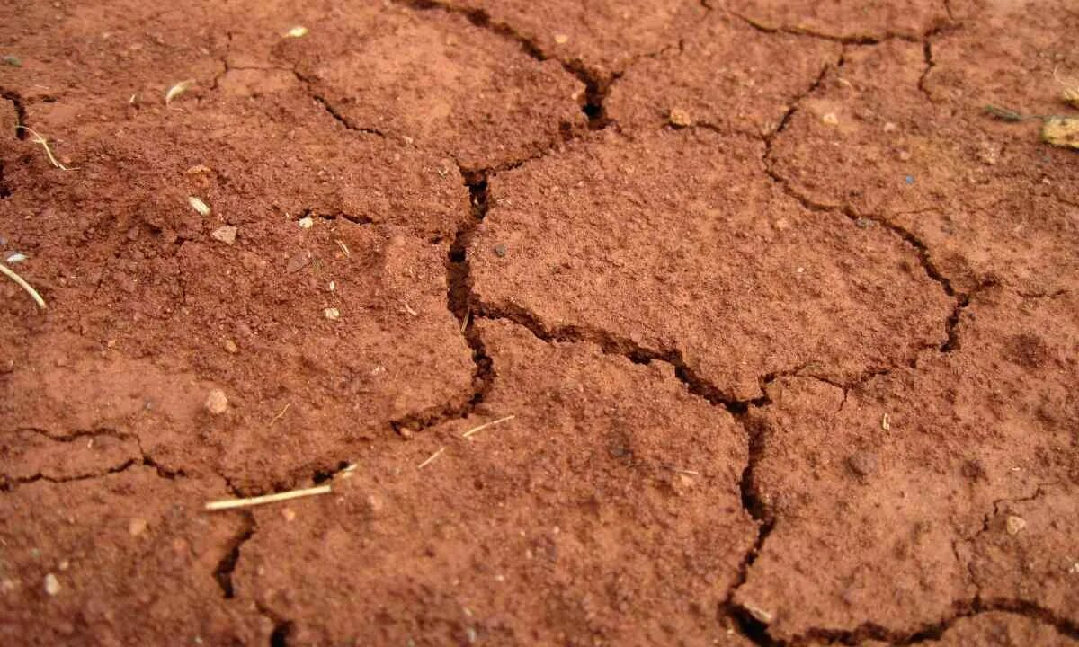 Кислая почва. Кислование почв. Закисление почв пути решения проблемы. Окисление почвы. Кислотные дожди и закисление почв.