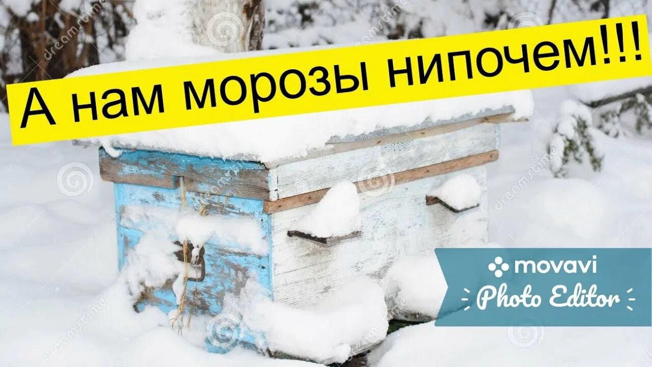 Оймякон томтор. Холодная зима. Зима юмор. Картинки о возвращении холодов прикольные. Люди зимой.