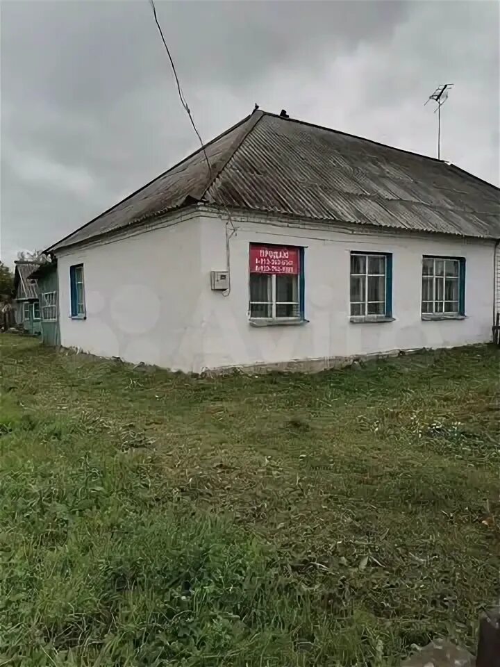 Погода в черемушкино