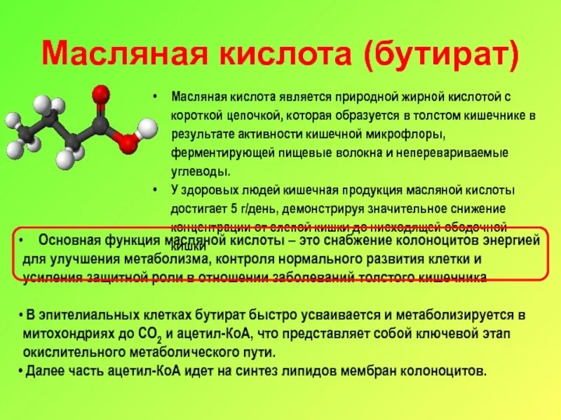 Масляная кислота для кишечника. Масляная кислота бутират для кишечника. Масляная кислота образуется в результате.