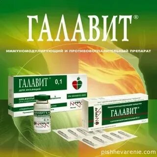 Можно ли галавит