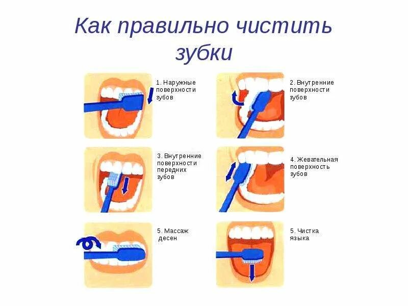 Стандартный метод чистки зубов схема. Метод чистки зубов метод Пахомова. Алгоритм стандартного метода чистки зубов. Как правильно чистить зубы. Чистить значение