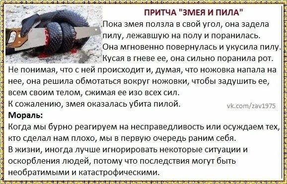 Притча о змее и старце. Притча о змее и пиле. притча змея и пила. притча про змею и пилу.