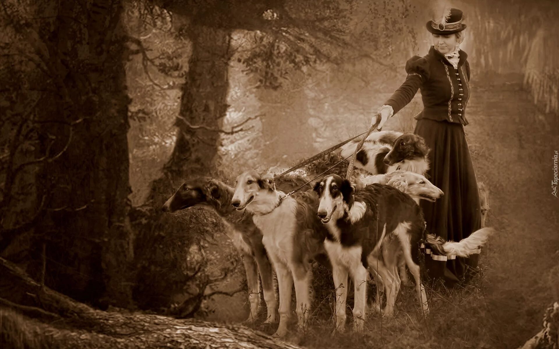 Девушка собак старых. Дама с собакой. Старые животные. Собака ретро. Русская псовая борзая на царской охоте.