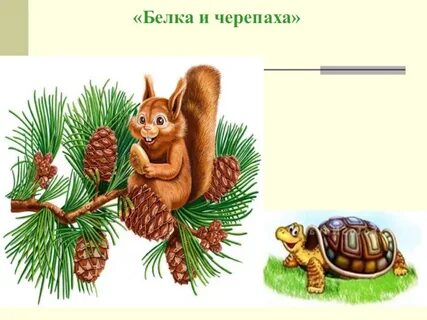 Человек белка черепаха чиж