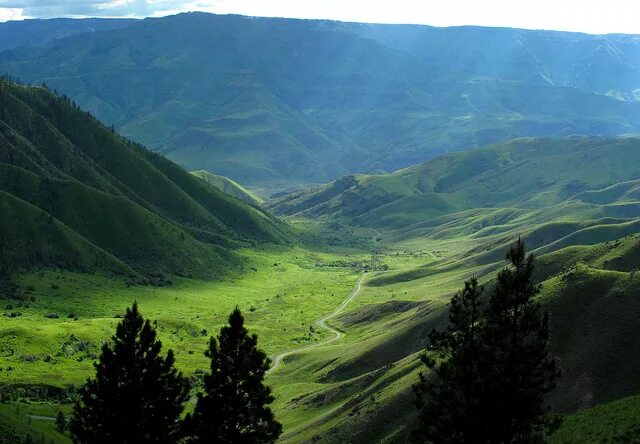 Камеры зеленой долины. Зеленая долина зеленодольск жилой микрорайон. Зелёные долины россии. Ук зеленая долина белгород. Зеленая долина туапсе пляж.
