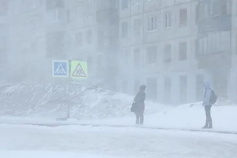 Актированный воркута