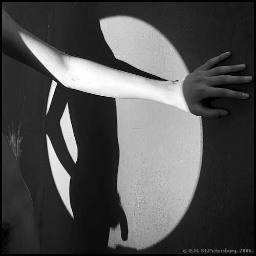 Пелагея вьюн над водой. Вьюнок китайский. Цветок на букву ю. Мохорев евгений mokhorev evgeny. Мохорев евгений mokhorev evgeny.