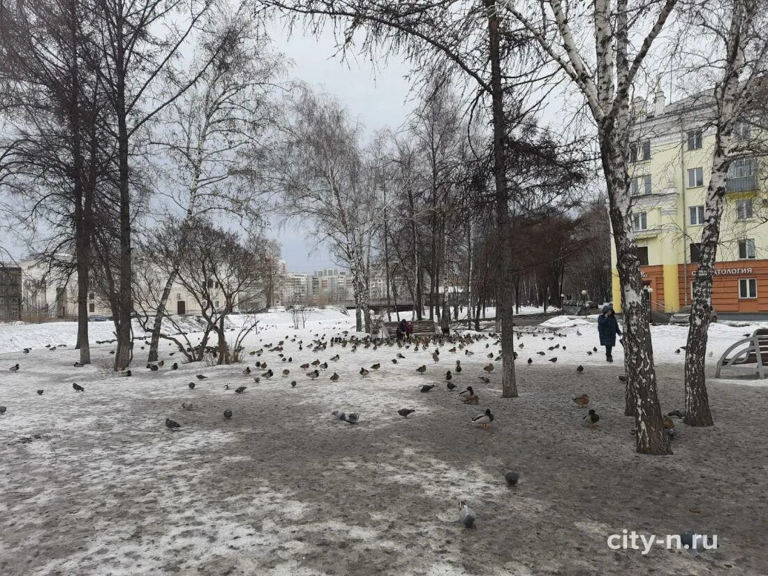 Новокузнецк, ул. Сбербанк новокузнецк. Кузбасс новокузнецк. Дом новокузнецк. Кома новокузнецк.