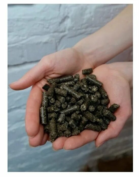 наполнитель из лузги подсолнечника. наполнитель мир чудес из лузги подсолнечника 3 кг. наполнитель для грызунов мир чудес. пеллеты из лузги. лузга подсолнечника гранулированная.