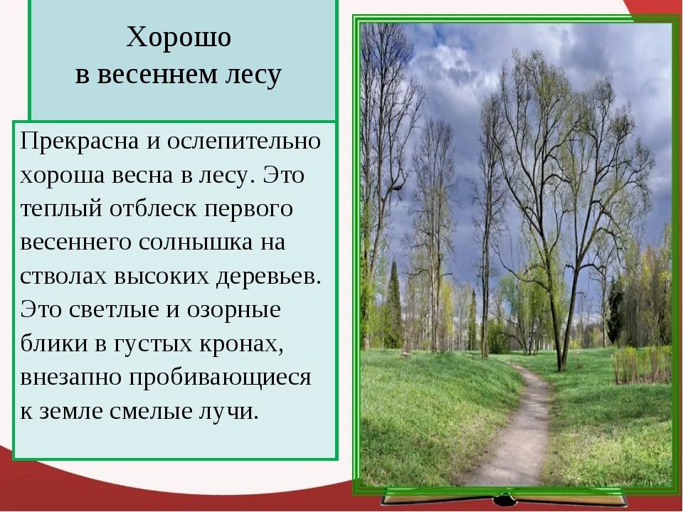 Текст описание про весну. Сочинение про весну. Сочинение в лесу весной. Лес весной описание.