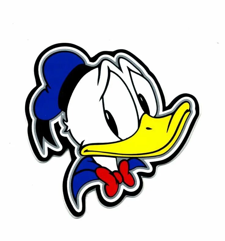 Real life donald duck. Real life donald duck. Уолт дисней утка. Real life donald duck. Donald "fauntleroy" duck.