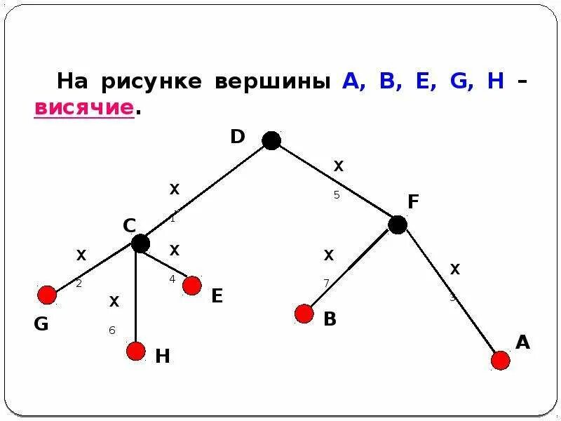 Есть ли в графе изолированная вершина. Что такое висячая вершина в графе. Вершины графа. Висячие и изолированные вершины графа. Висячие графы.