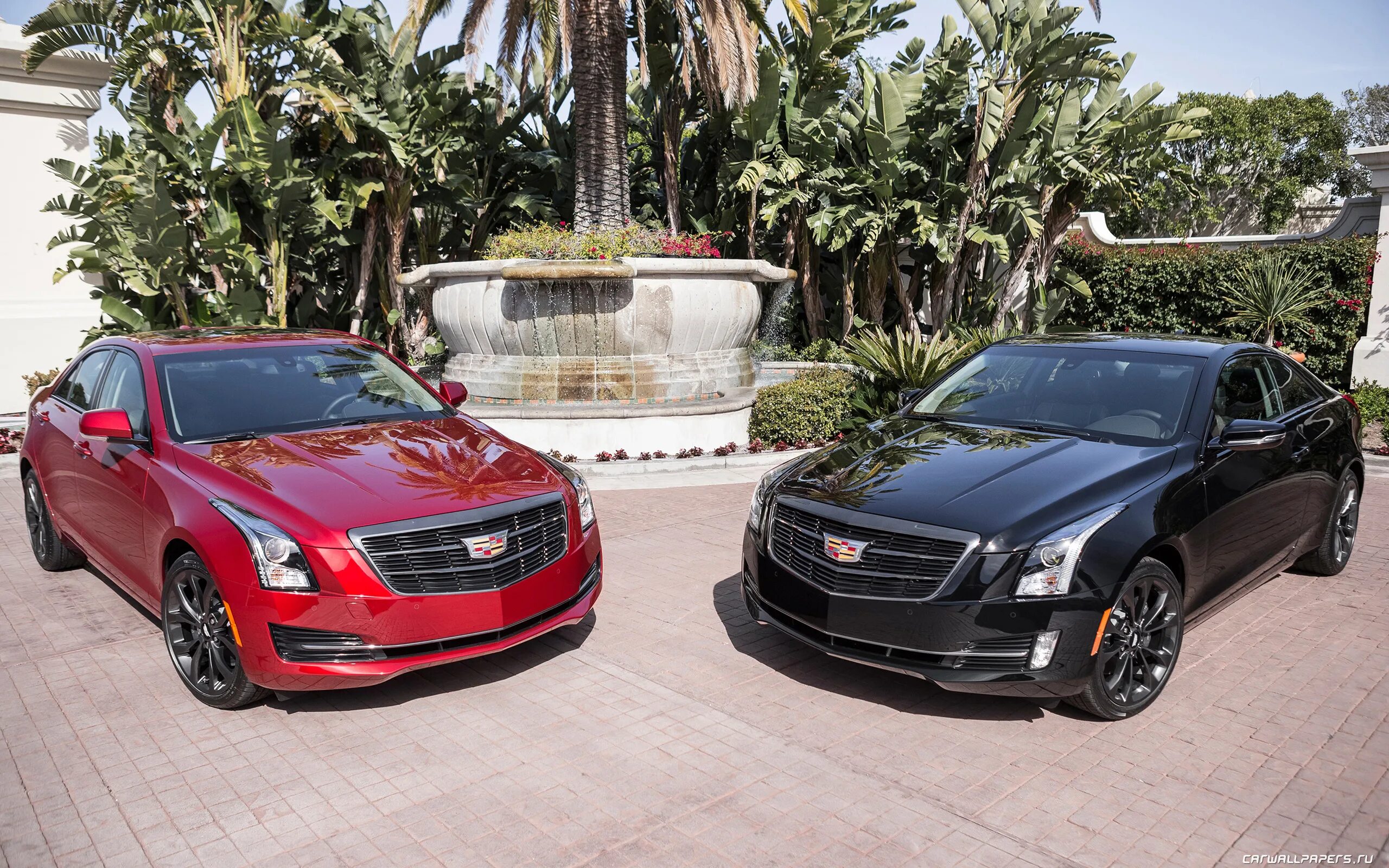 Bmw m6 family. Две новых машины. Яркие машины. Бмв амг 63. Bmw мерседес ауди тесла.