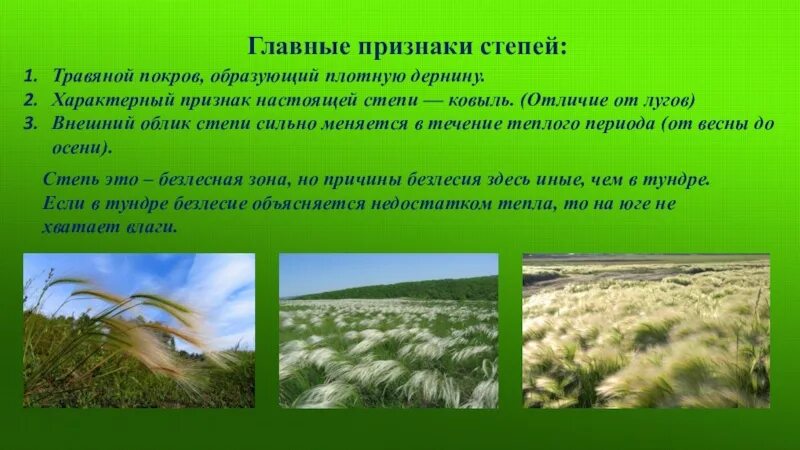 Какие природные комплексы отличаются от степи. Внешний облик зоны степей. Характерные признаки степи. Характерные признаки Степной зоны. Типичный внешний облик степи.