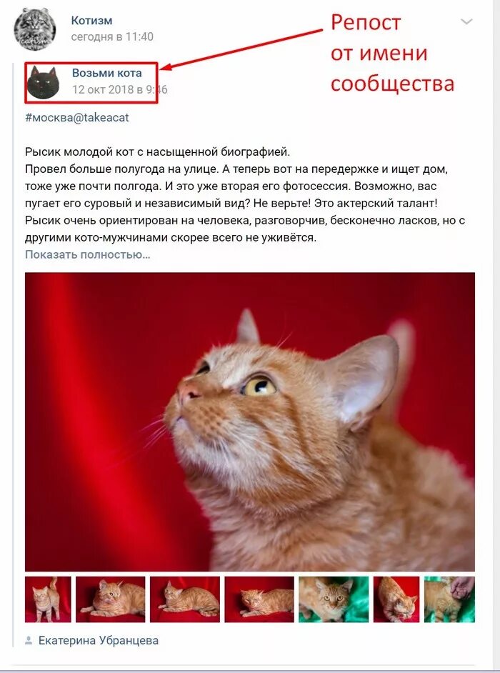 Репост что это такое простыми словами. Репост. Что такое репностни. Репост в ТТ. Рипост.