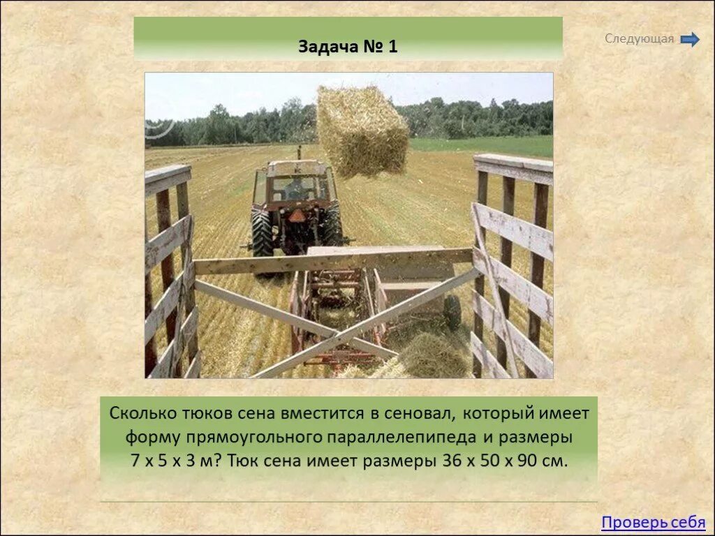 Сена длина. Размер тюка. Тюк сена Размеры. Размеры прямоугольных тюков сена. Вес одного тюка сена.