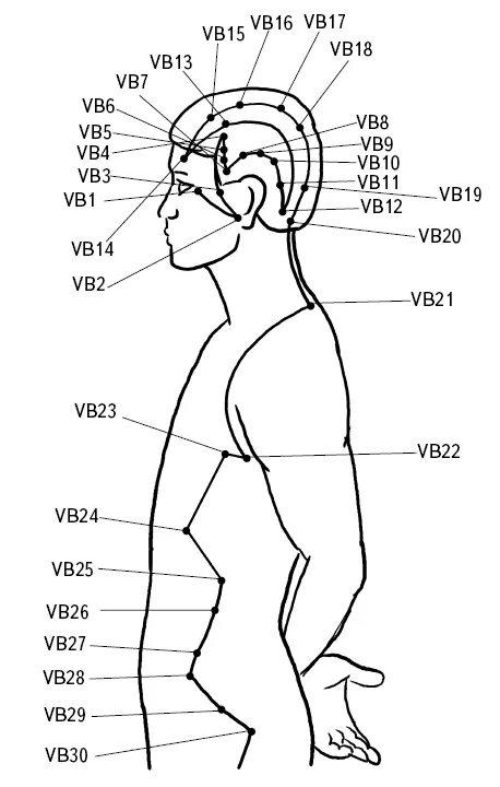 Открыт ли вб. Точка vb5 Сюань Лу. Точка vb5 акупунктуры. Точка Сюань ли. Точка vb3.