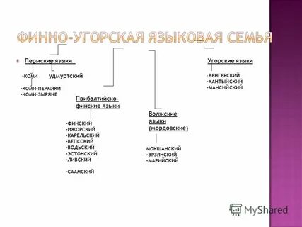 К какой языковой семье относится мордва