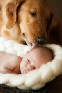 Baby pet