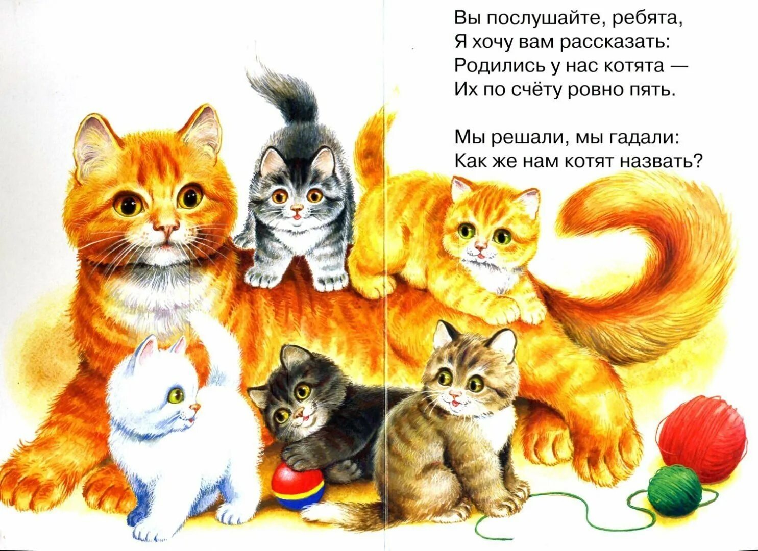 У маши живут 5 котят