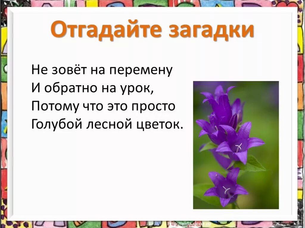 Полевые цветы стих 3 класс. Загадки про цветы. загадка про колокольчик. загадка про колокольчик цветок. загадки про цветы для детей.