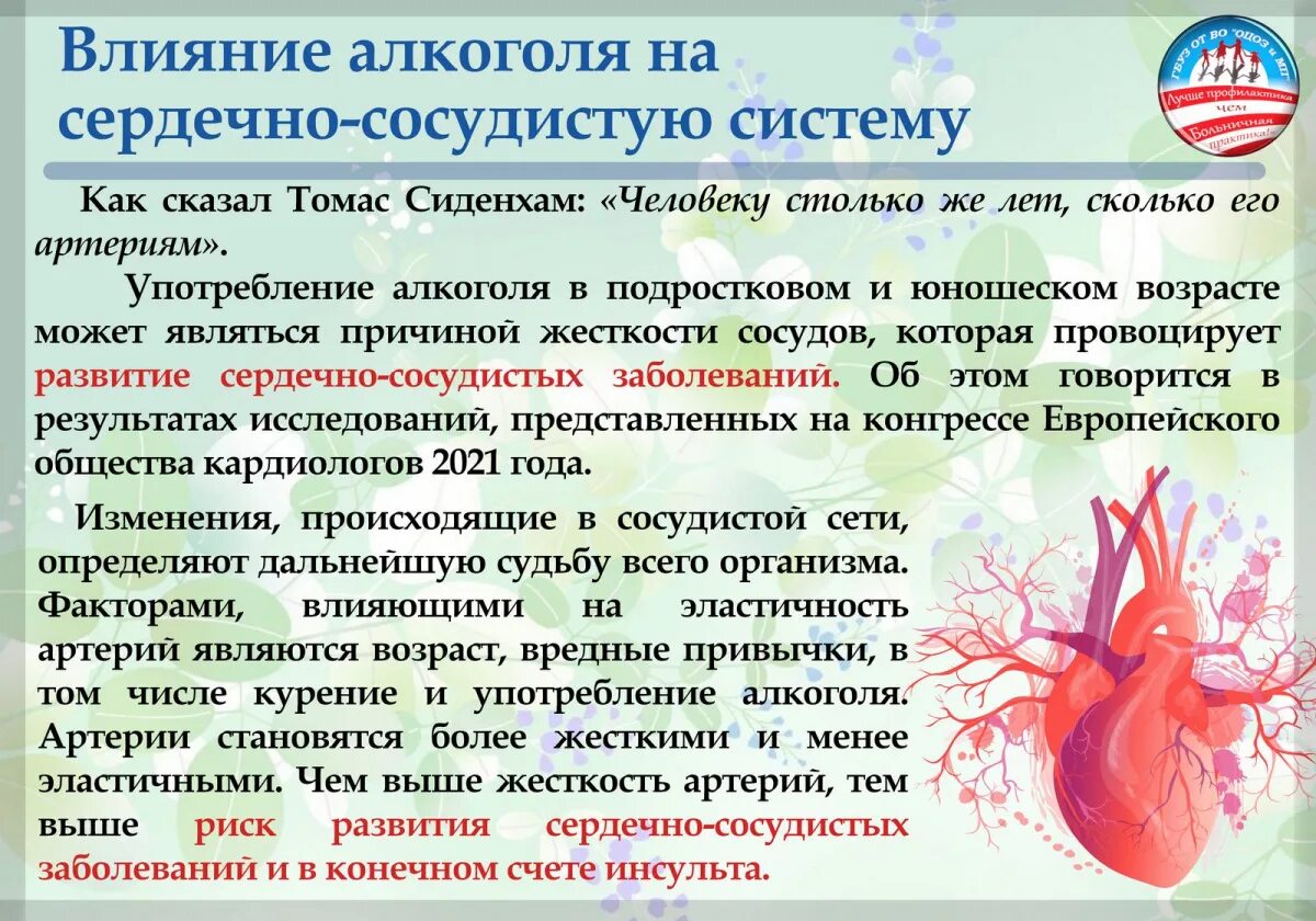 Негативное влияние на сердечно сосудистую систему. Влияние алкоголя на сердечно-сосудистую систему. алкоголизм и заболевания сердечно сосудистой системы.